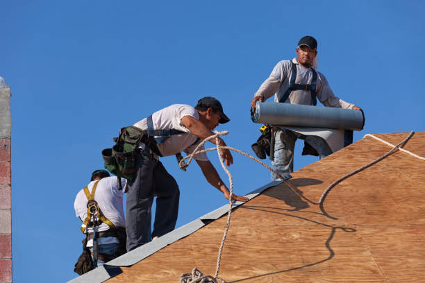 Best New Roof Installation  in Dade City, FL